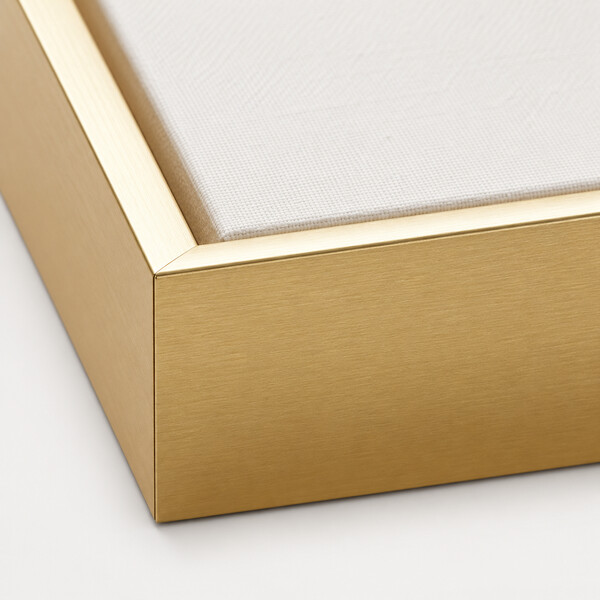 Gold Frame