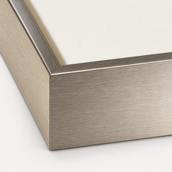 Silver Frame